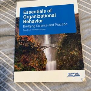 Essentials of Organizational Behavior Book - Blue and White Cover